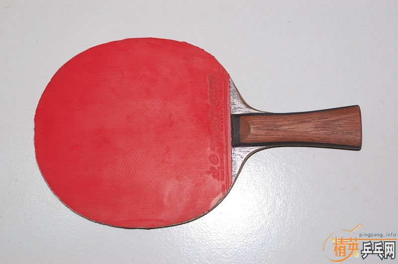 ��һֻ���õĴ�OC