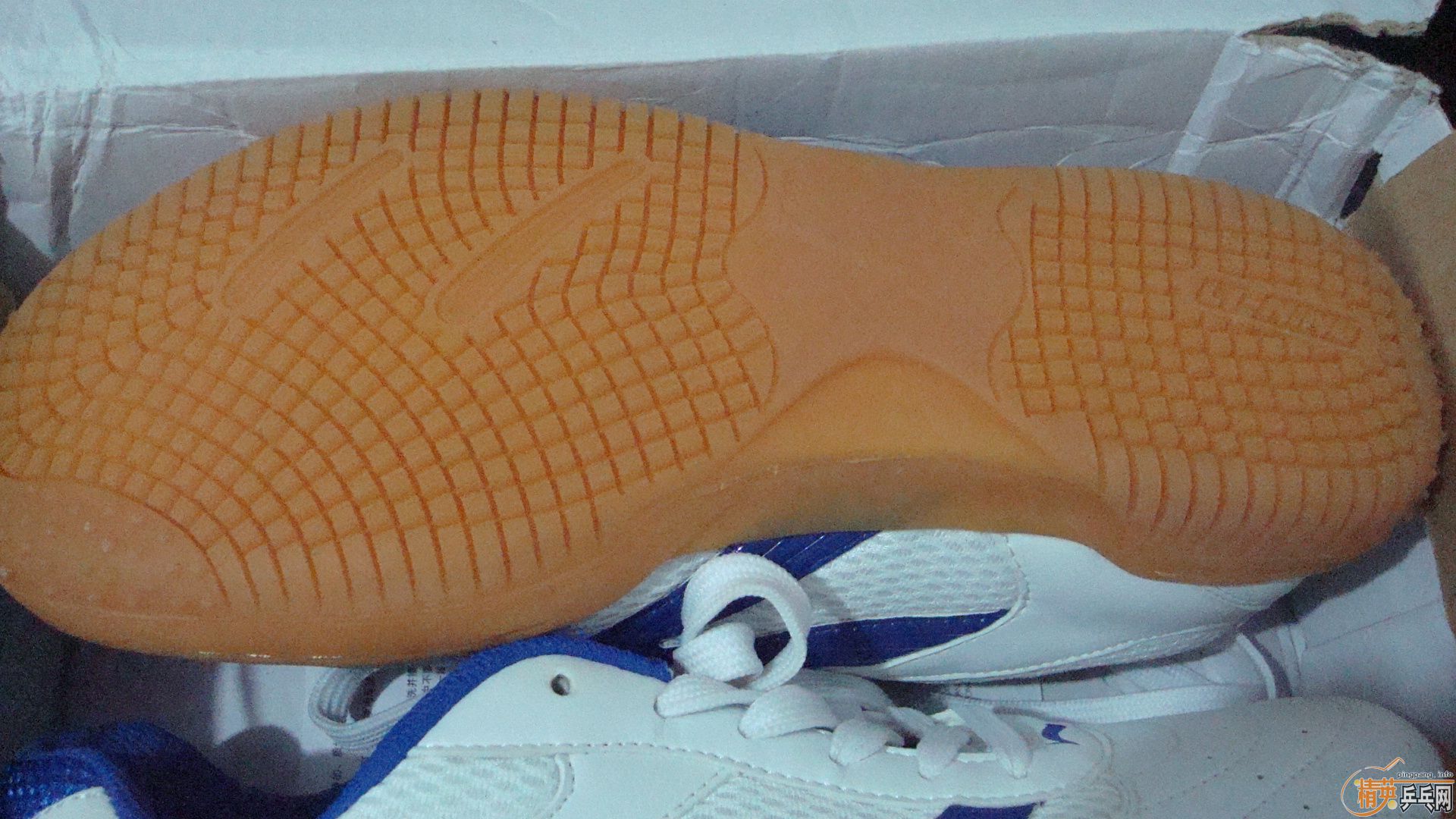 �����õ�ƹ��Ь