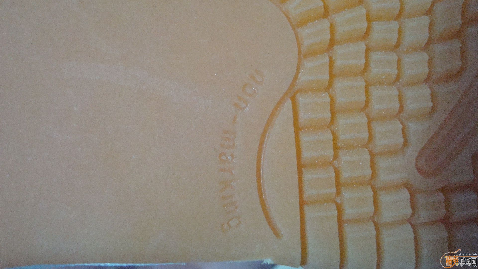 �����õ�ƹ��Ь