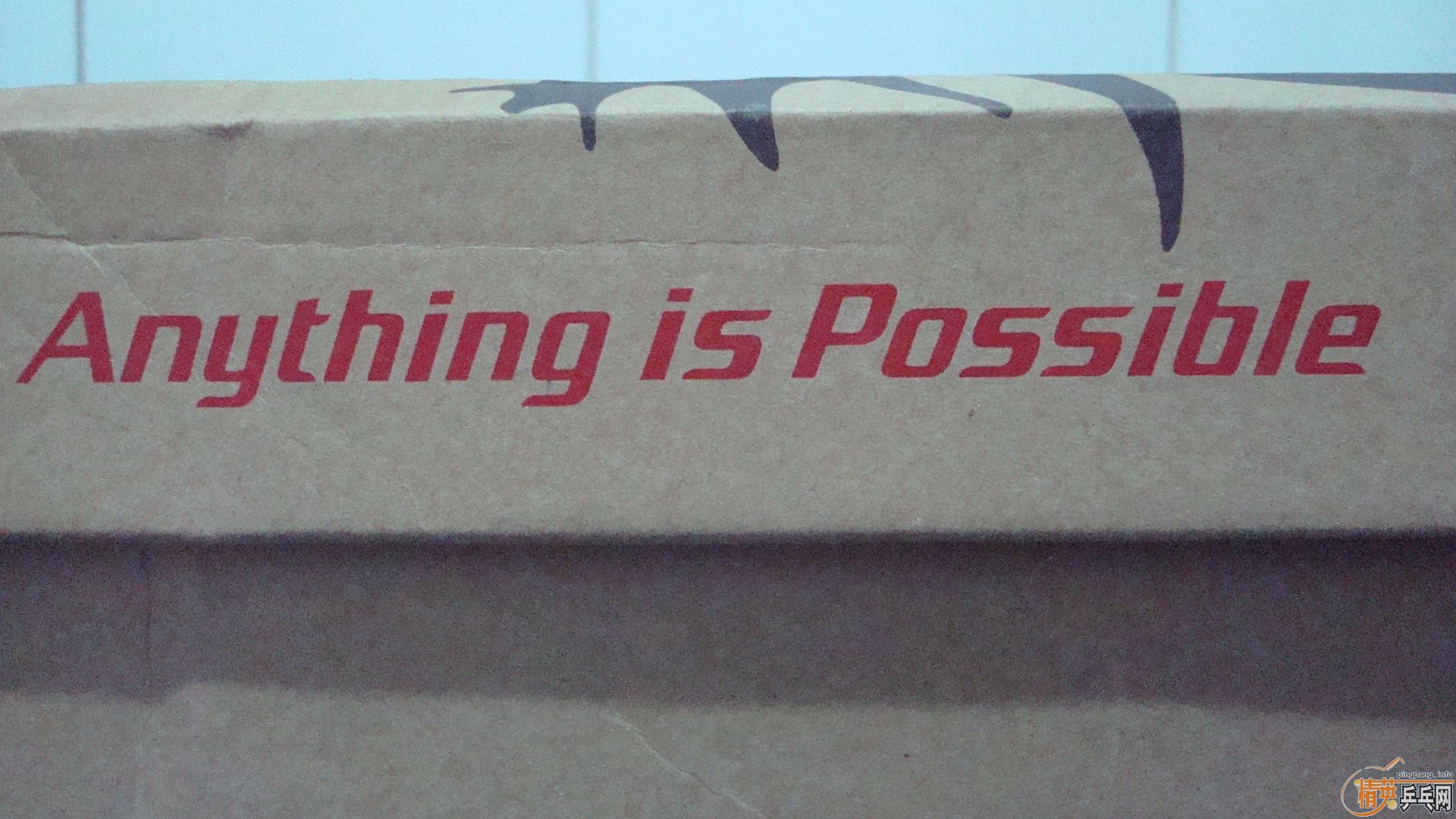 �����õ�ƹ��Ь