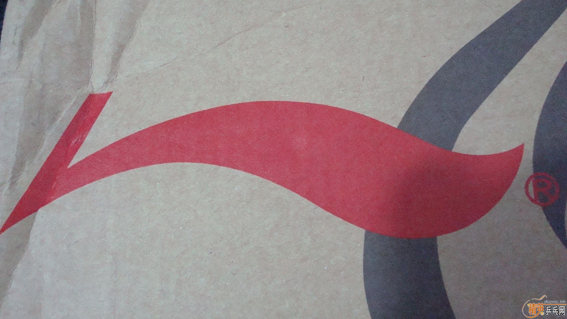 �����õ�ƹ��Ь