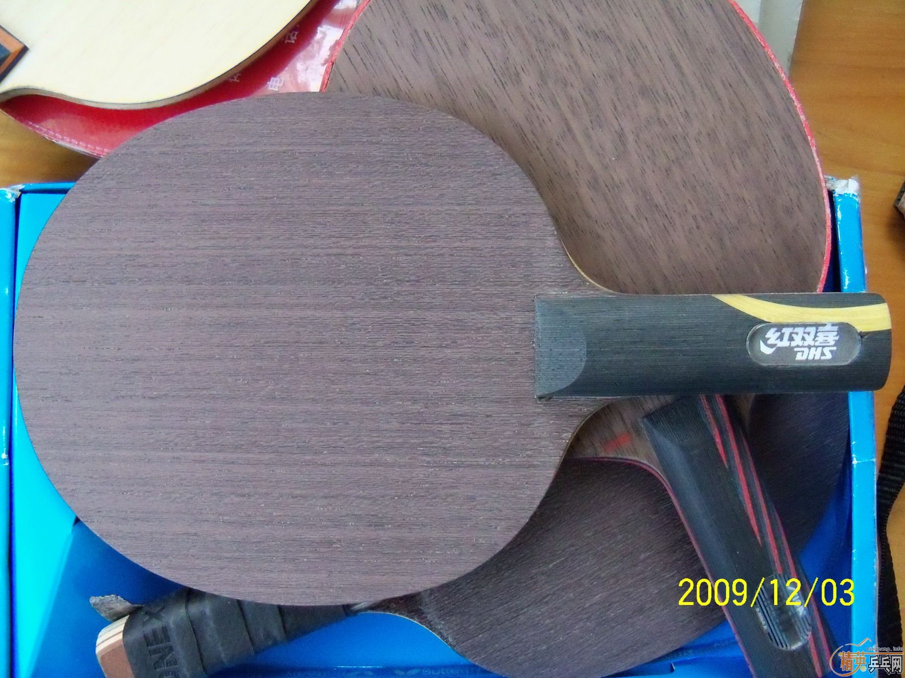 �����µ¿�������08