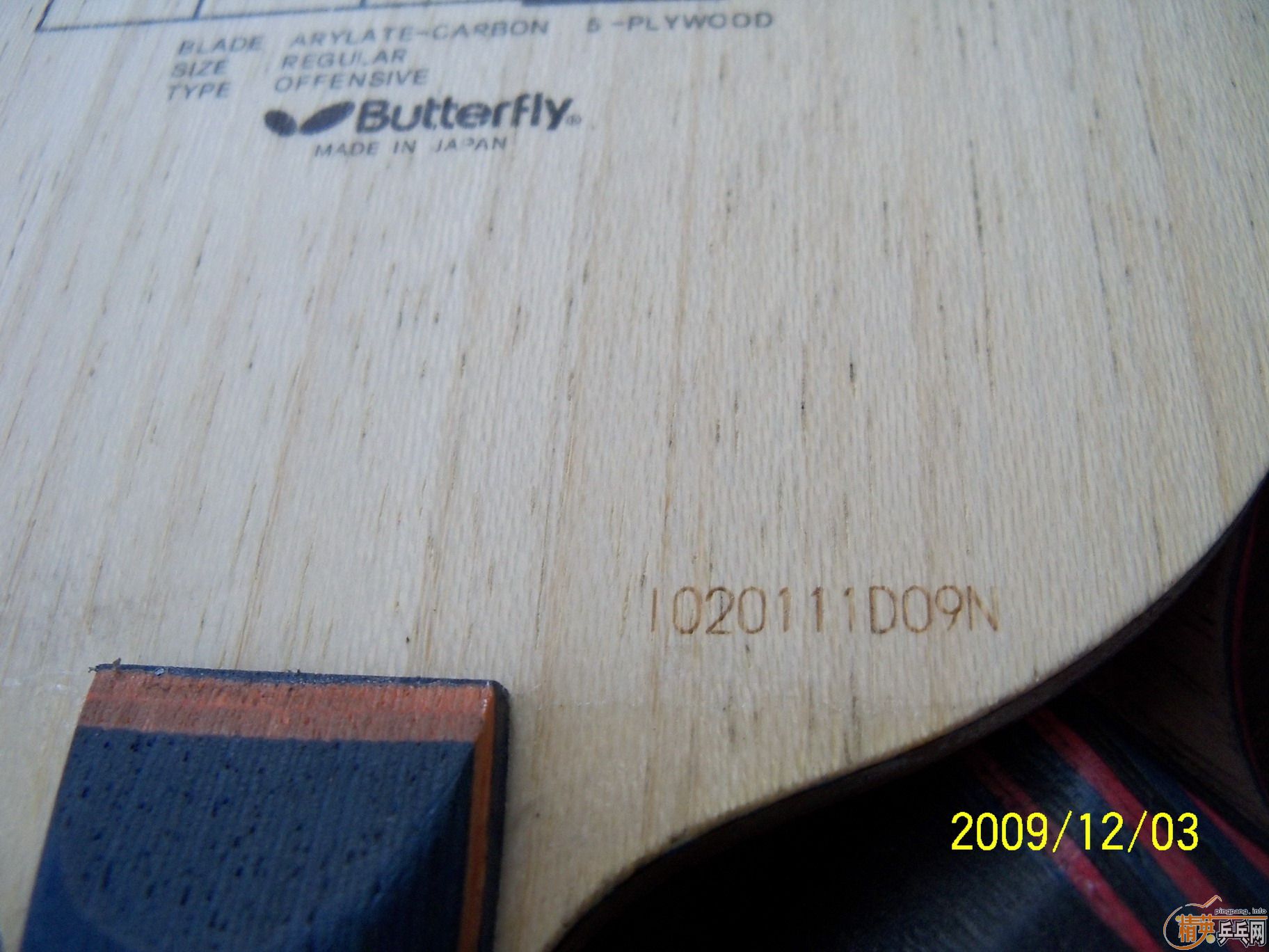 �����µ¿�������08