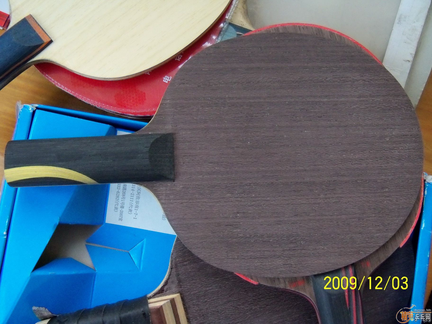 �����µ¿�������08