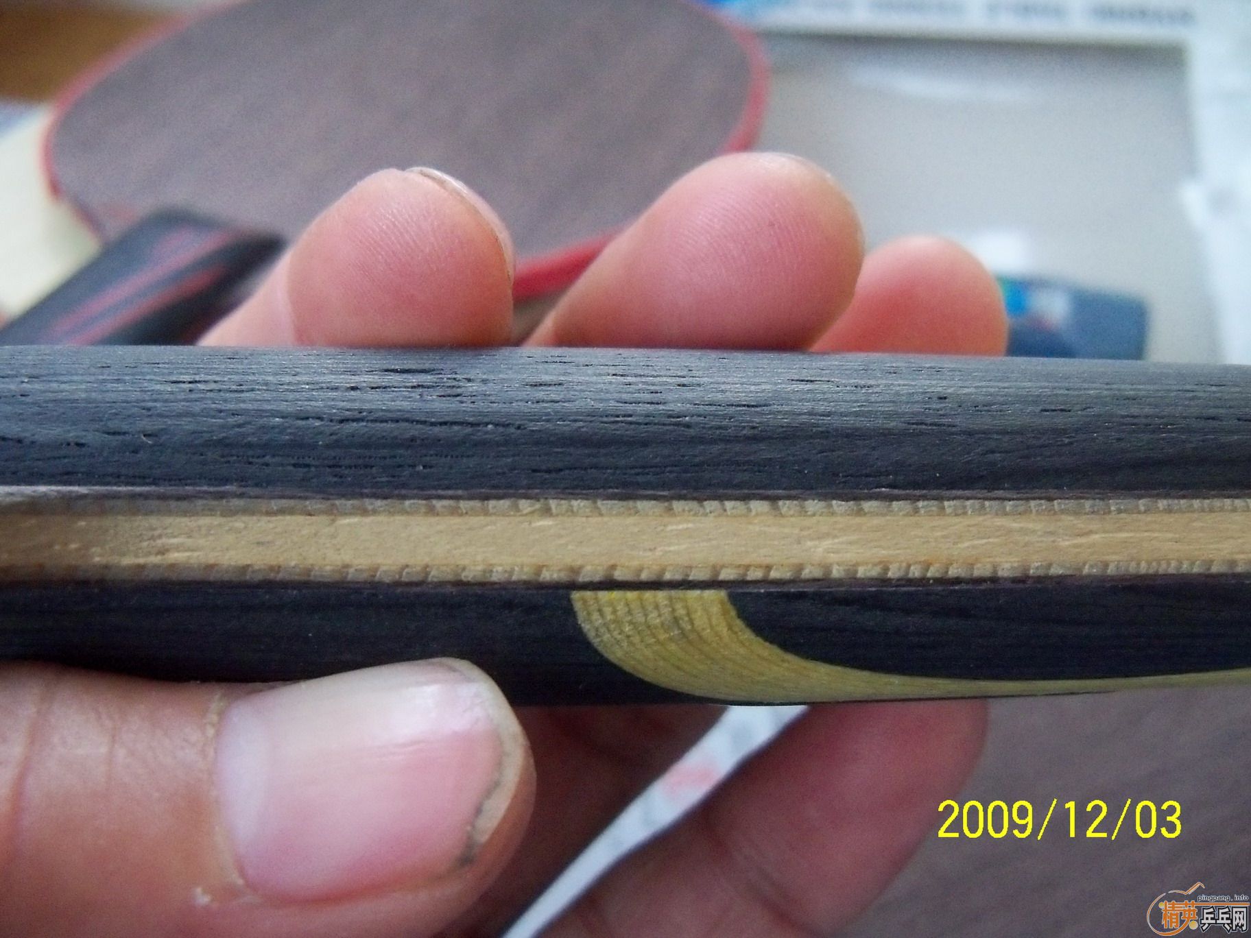 �����µ¿�������08