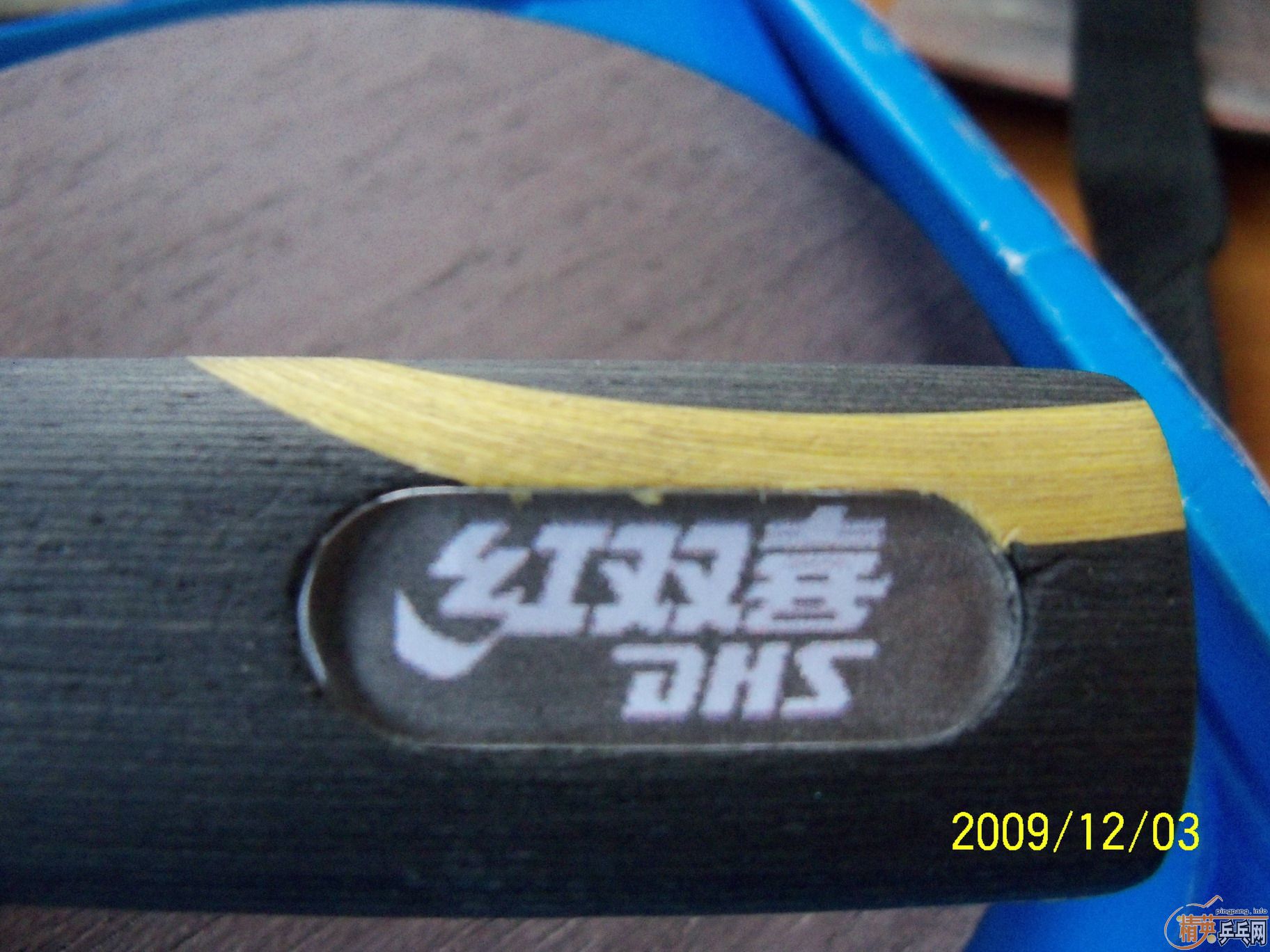 �����µ¿�������08