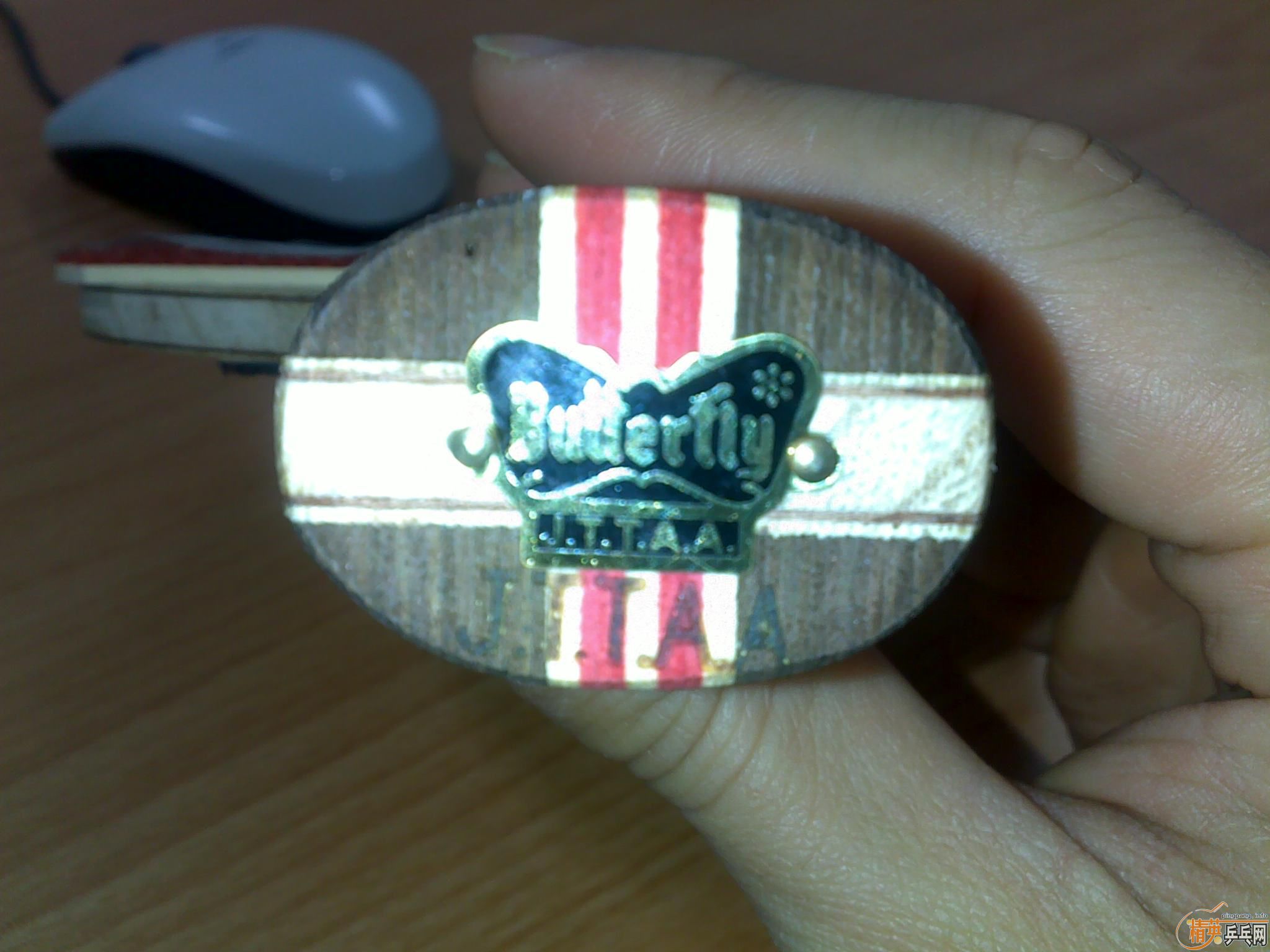 �����̩����������������...