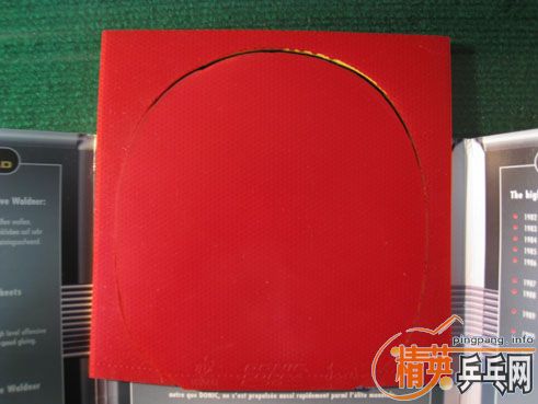 ��һ��9.5���µĶ���ˣ�DONIC�������׽�������JO