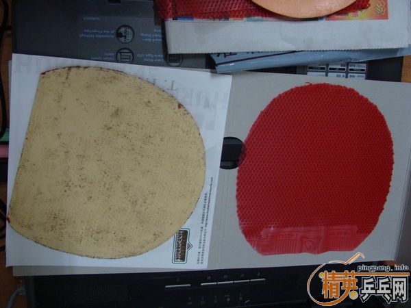 5�鳤����100�����