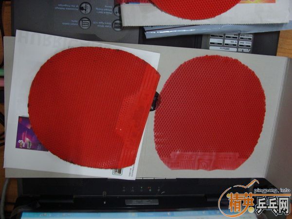 5�鳤����100�����