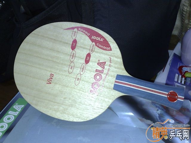 ��9.9������VIVA-FL��320���ʣ�