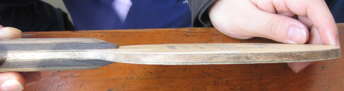 ���Ҽ��ھ�������� ��palio TT  80Ԫ