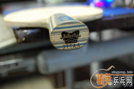 ��Ʒ��������ƺ�����һֻ