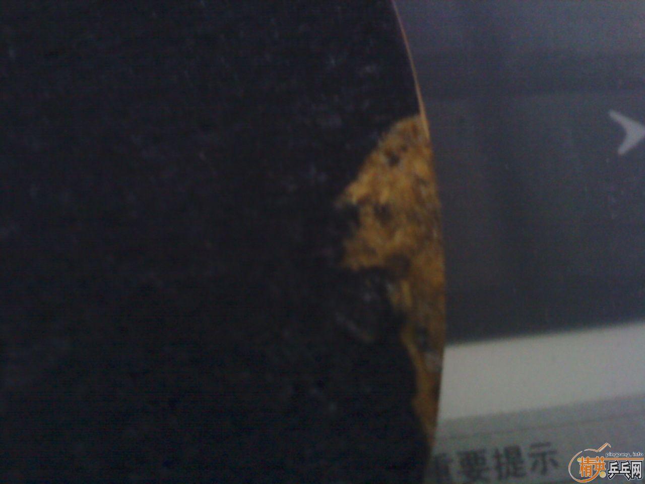 ����ˮ��+F1+Sriver el