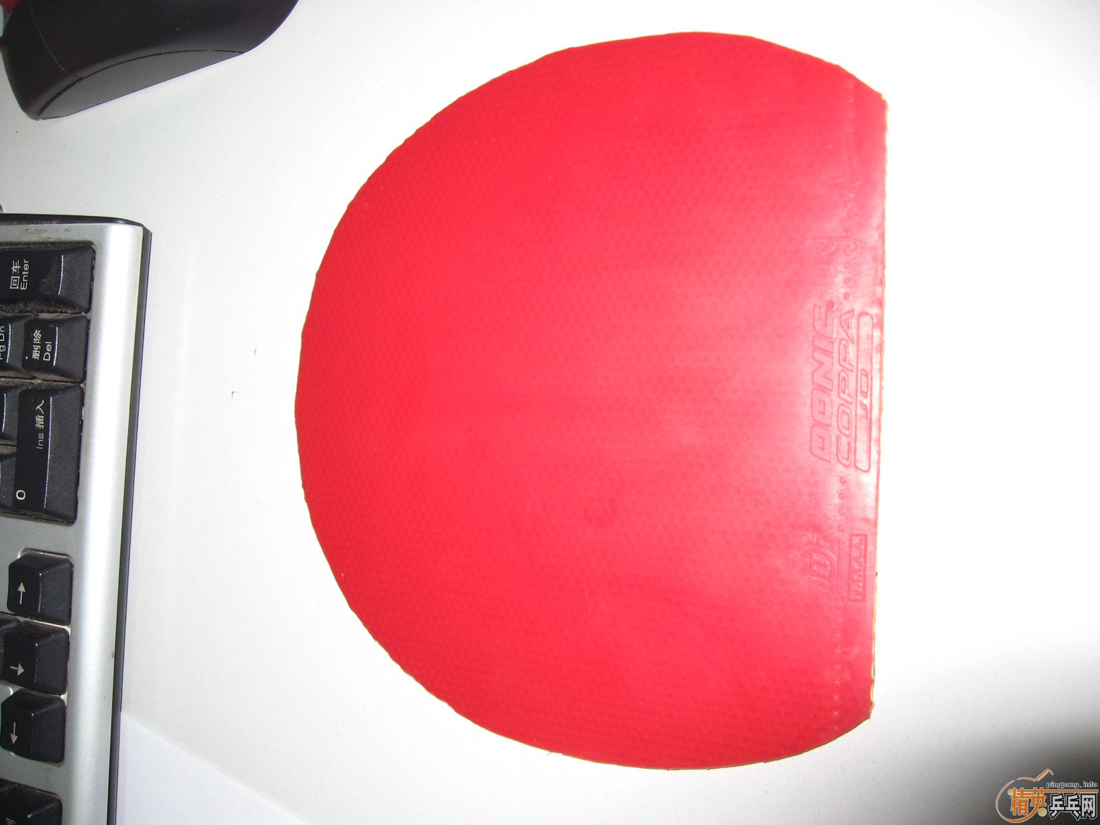 ������  donic coppa JO ��110���죩