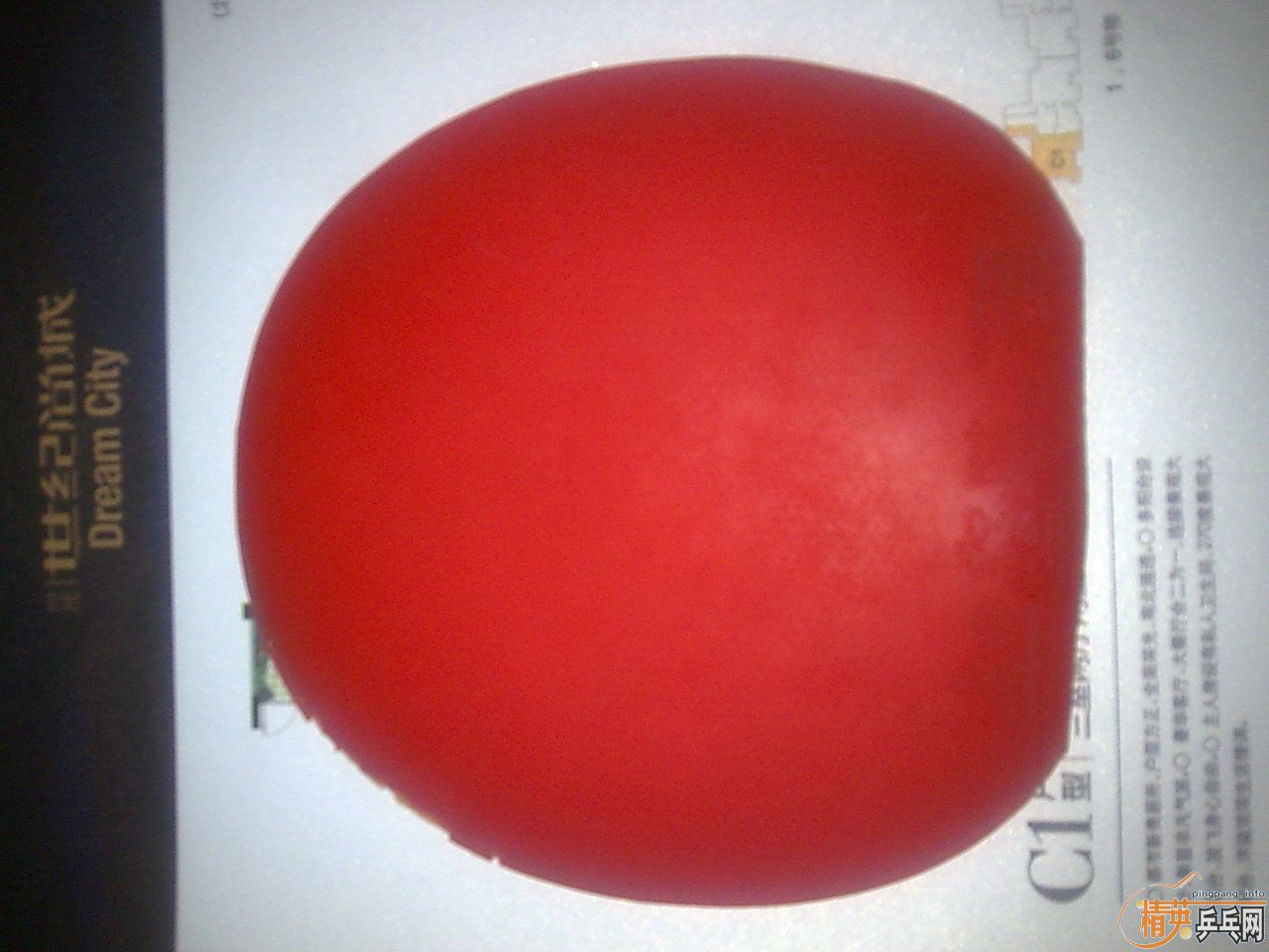 �������ᣬ����1��09���տ��2046