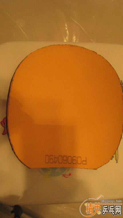 ���˳����ŷ��� 9�����NEO��2 ���տ�3 65�����