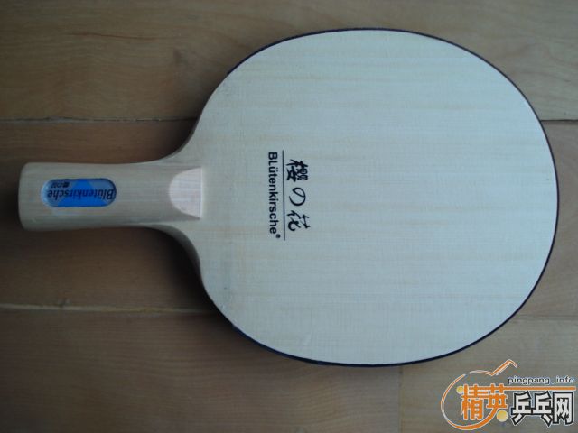 yeo    yo40  �����   ӣ������  ��ֱ �ͼۣ���������