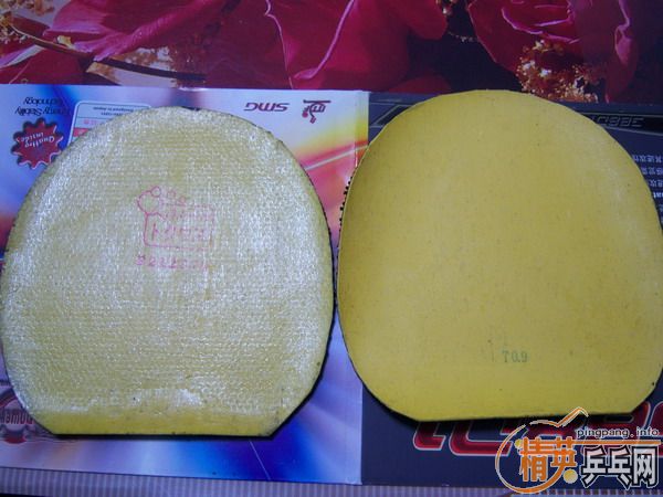 ��TSP�����ͳ���������