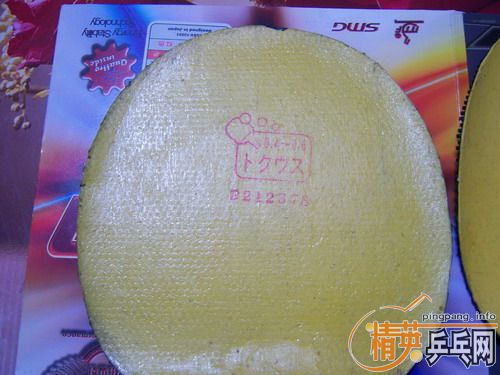 ��TSP�����ͳ���������