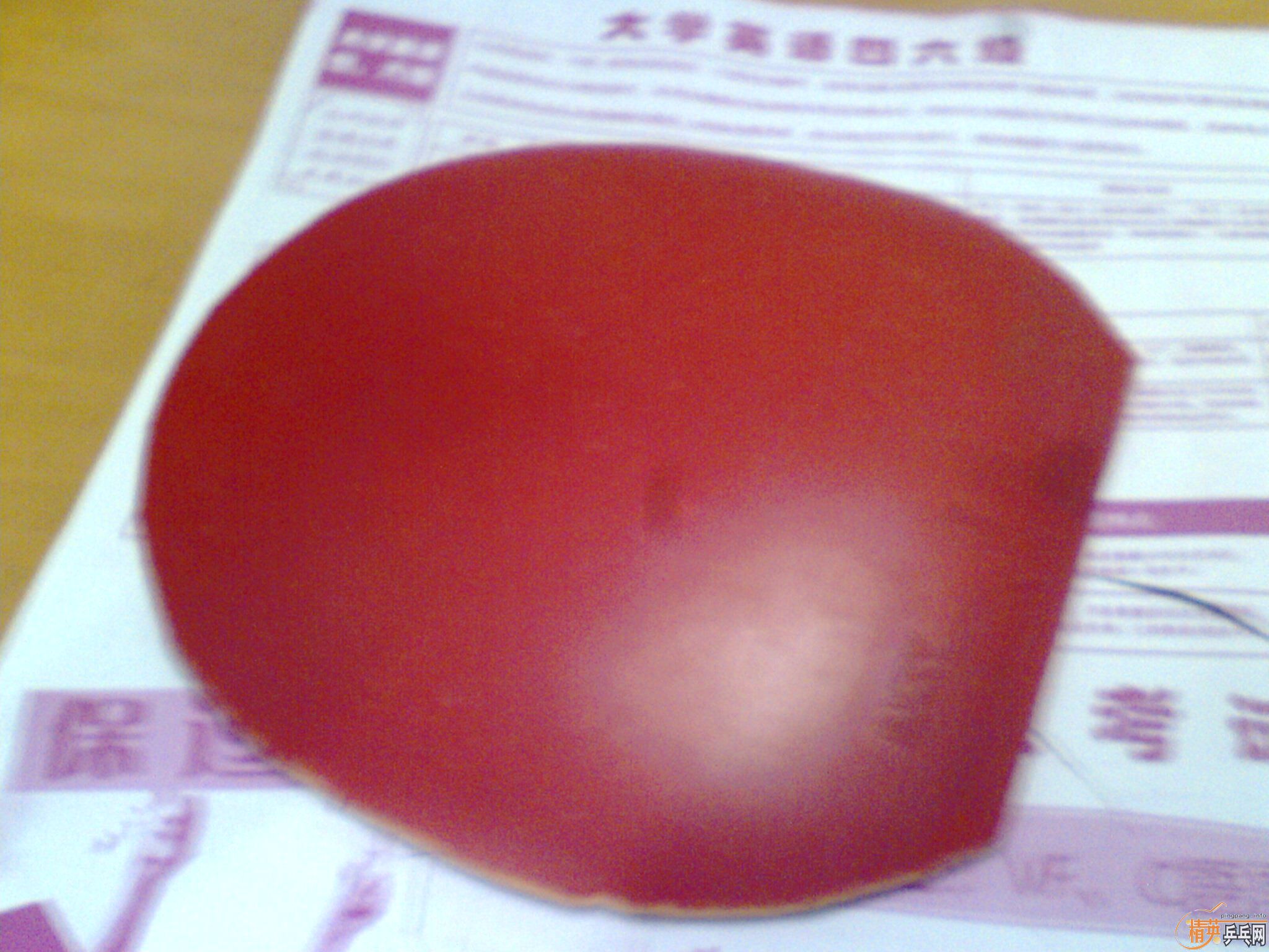 �����3�ź���潺Ƥ