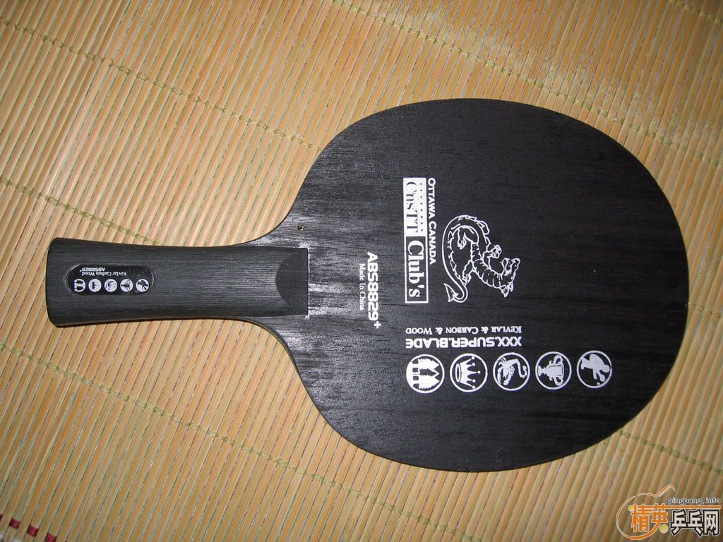 ��ABS8829 +��������+���� һ�״��110����