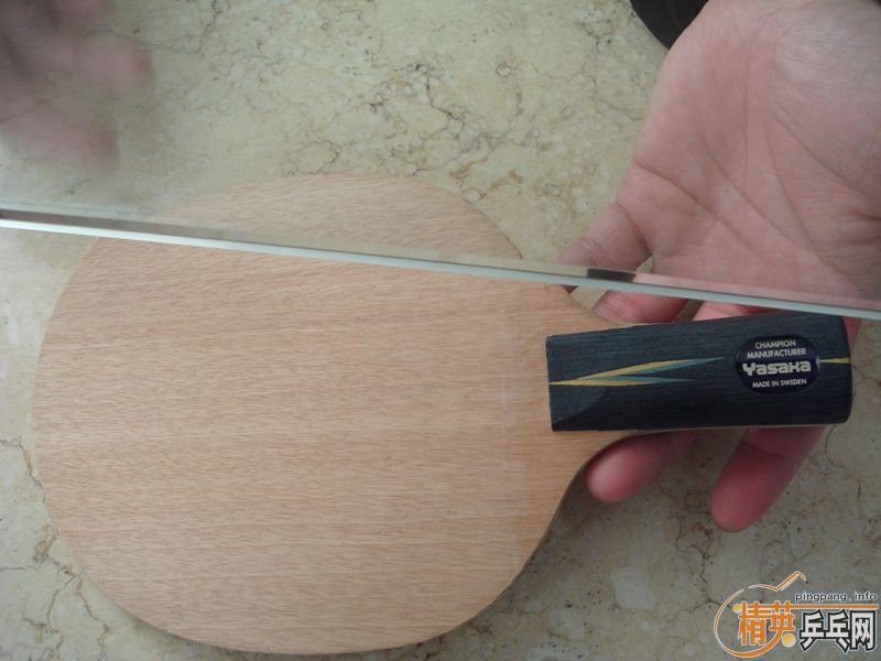 ��9.5���հ�YE