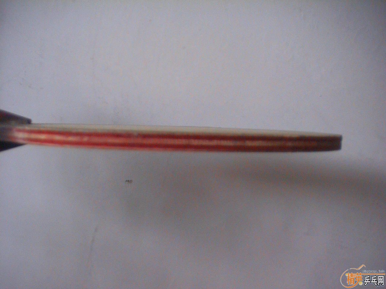 �ͼ۳�������Ĵ�ľ˹�Ῠ