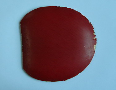 ������С���ٵ�