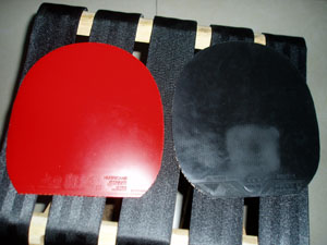 ������������YSC   EC-13