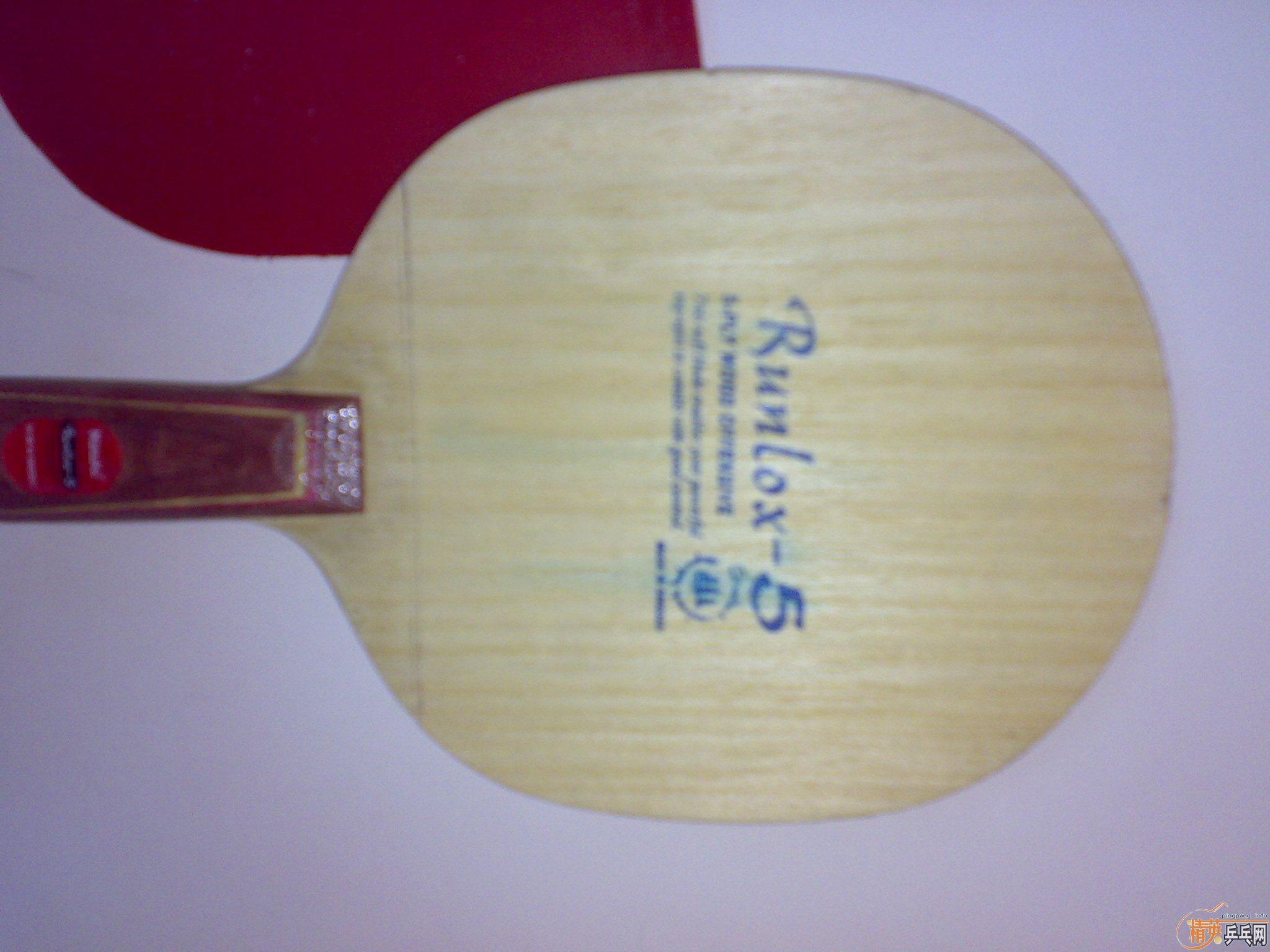 �ո�����