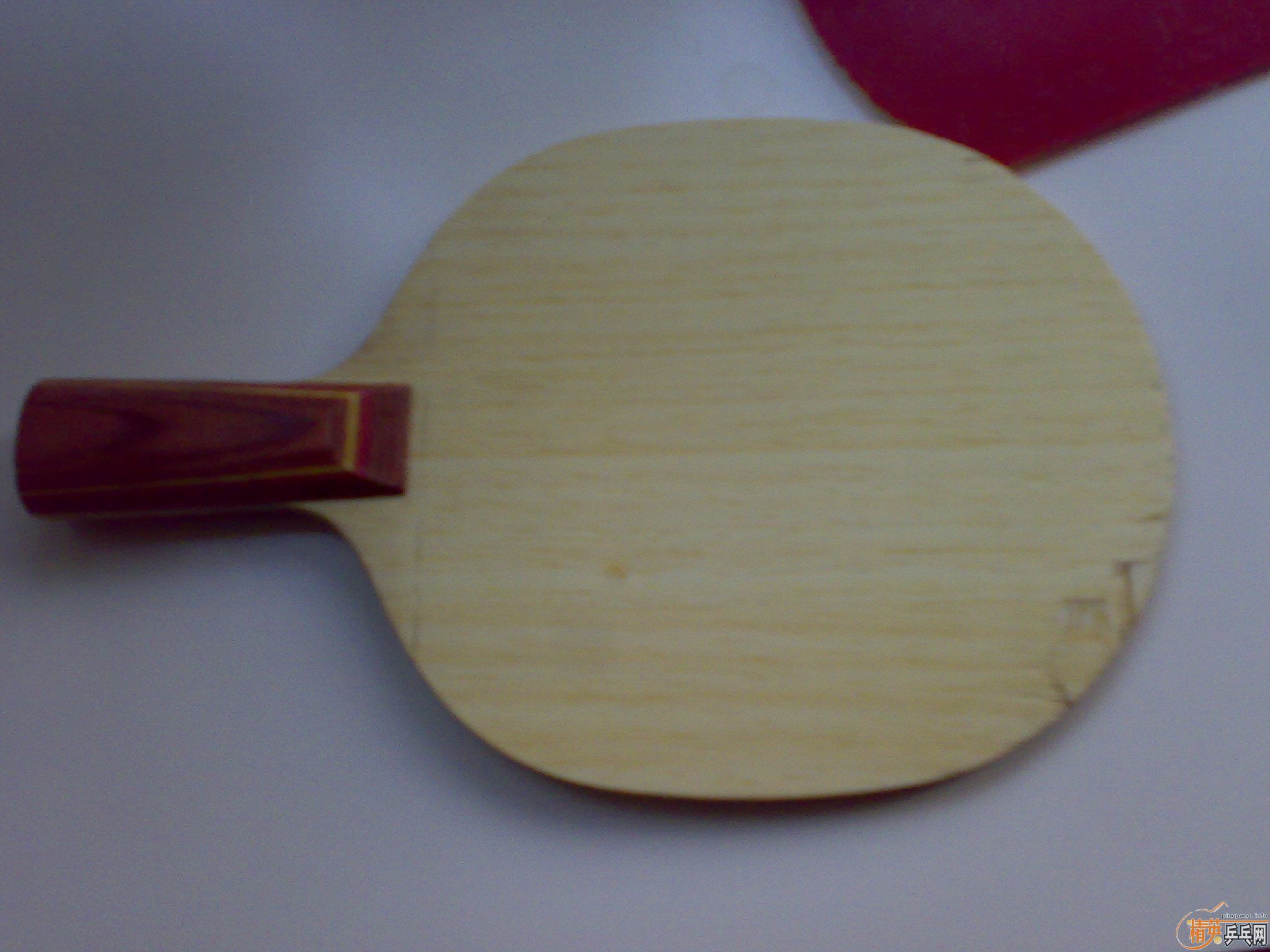 �ո�����