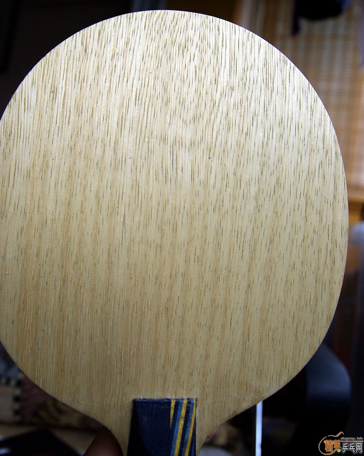 ��9.8��STIGA  EG����AN�� ����ŷ��