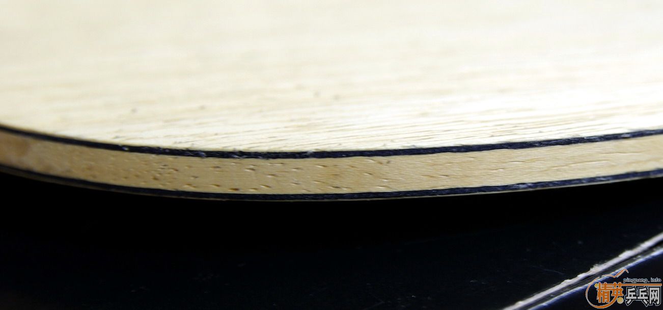 ��9.8��STIGA  EG����AN�� ����ŷ��