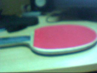 60���ʳ�һ9.5��PALIO TON������Ƥ,