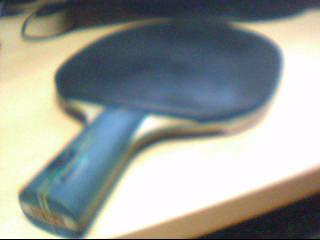 60���ʳ�һ9.5��PALIO TON������Ƥ,