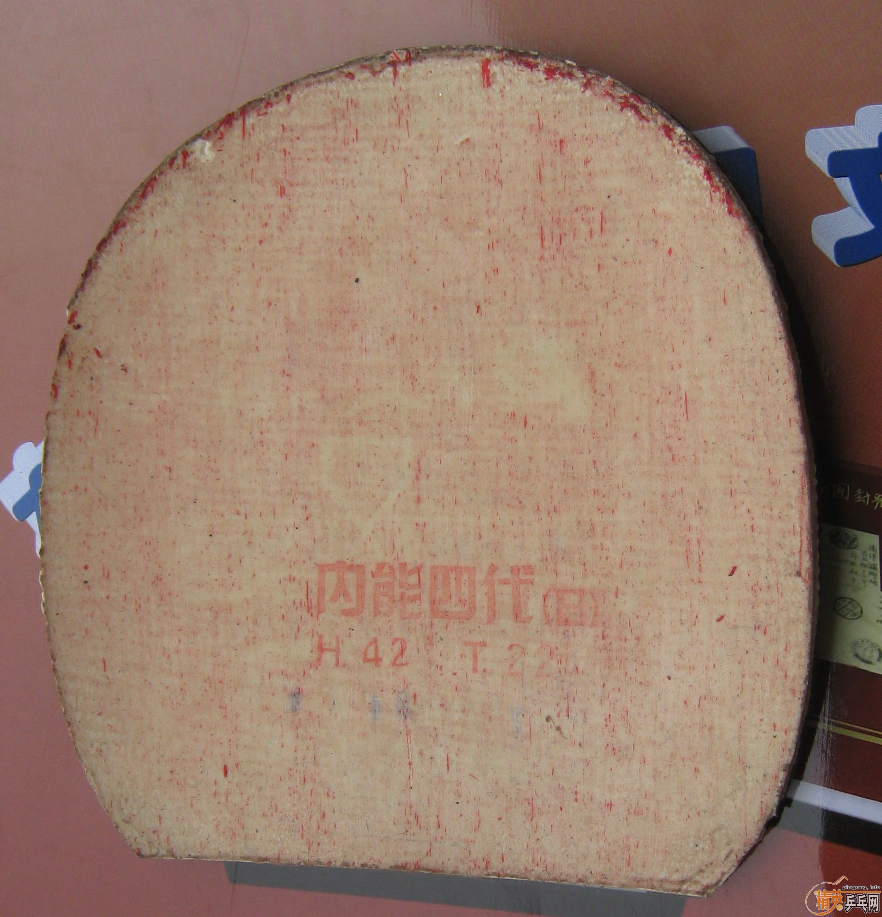 �뻻���ᡪ��������HAMMOND(������)