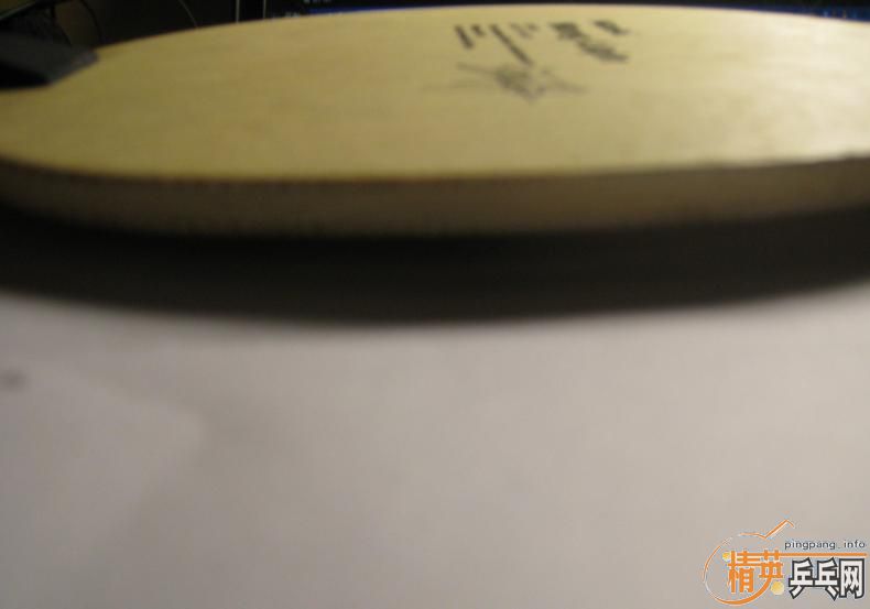 95��nittaku WangLiqin(310����)