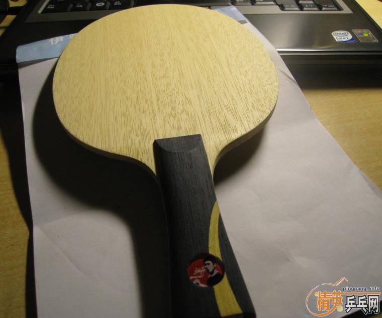 95��nittaku WangLiqin(310����)