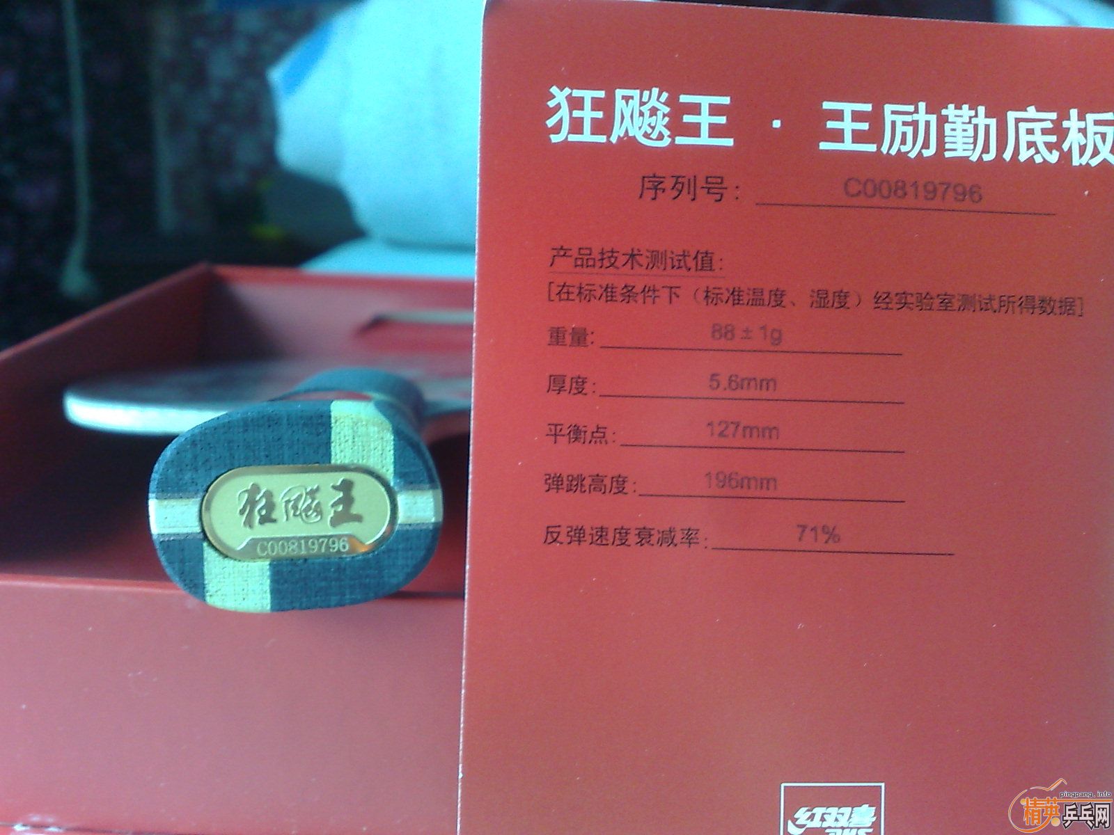 �Գ�����������������