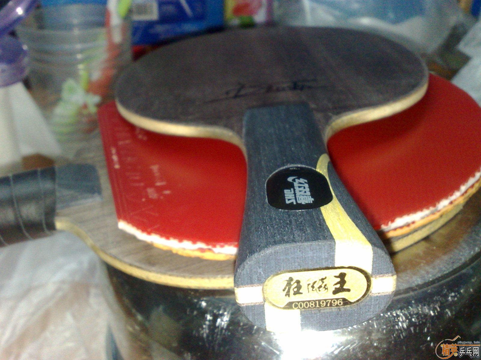 �Գ�����������������