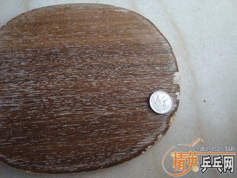 ���·���,����YEO,350����,�������׽�!