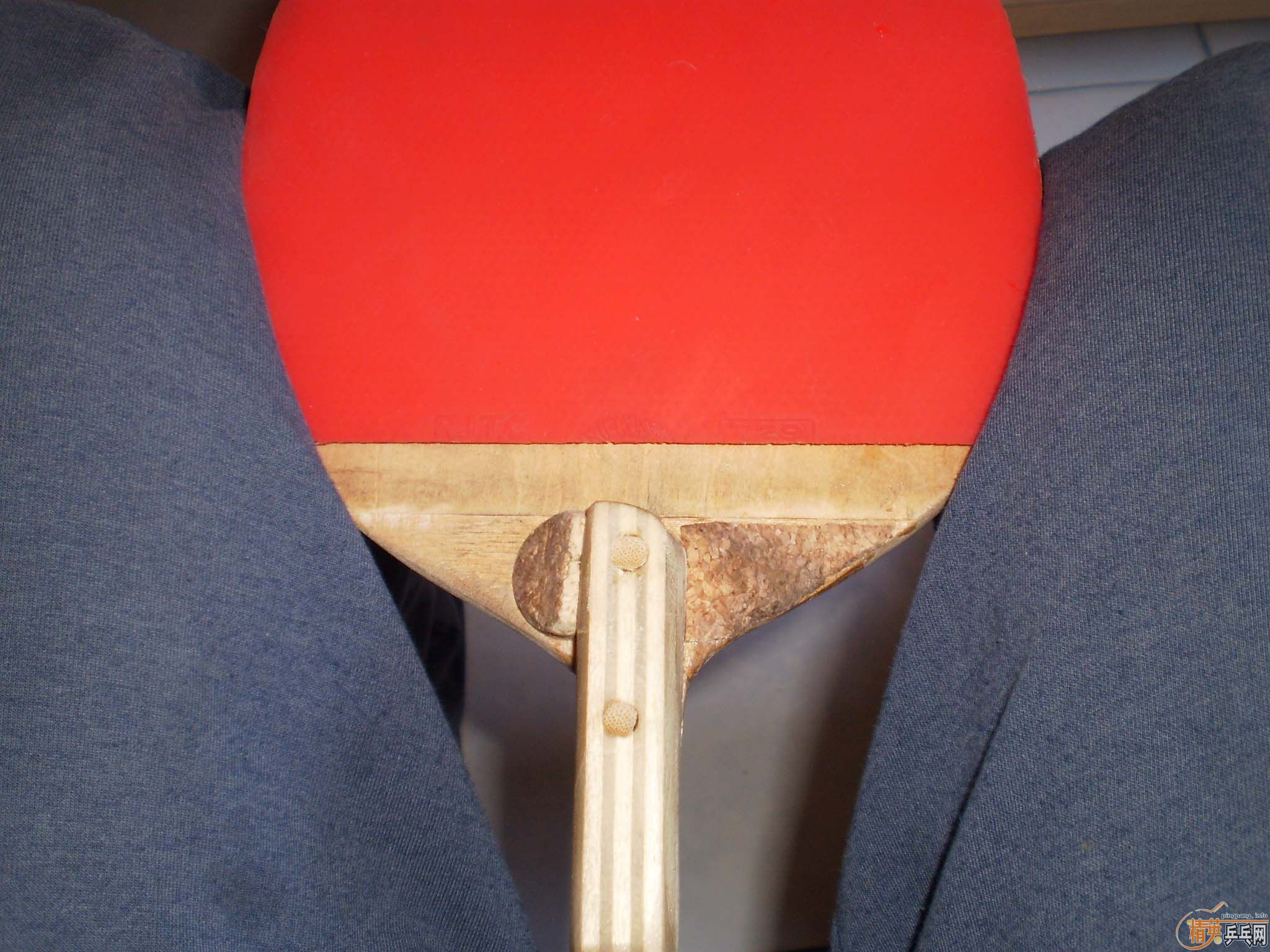 [ԭ��]��һֻ�϶���ֱ�ĸĵĵװ�