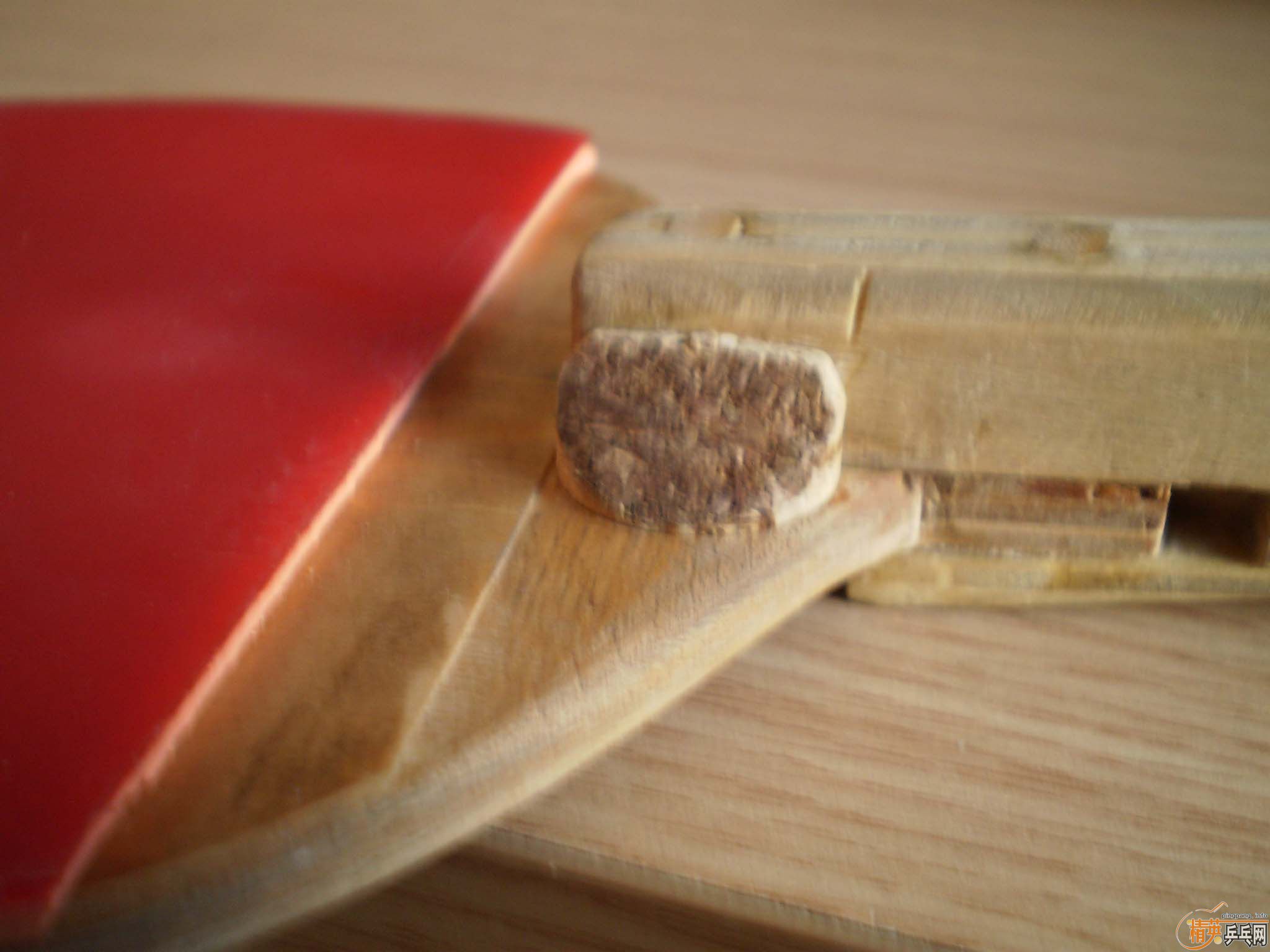 [ԭ��]��һֻ�϶���ֱ�ĸĵĵװ�