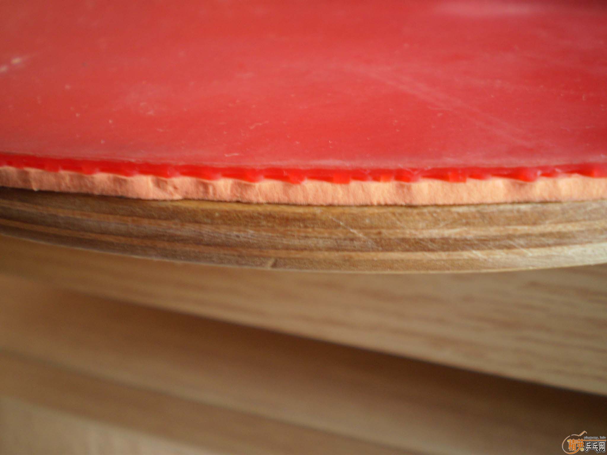 [ԭ��]��һֻ�϶���ֱ�ĸĵĵװ�