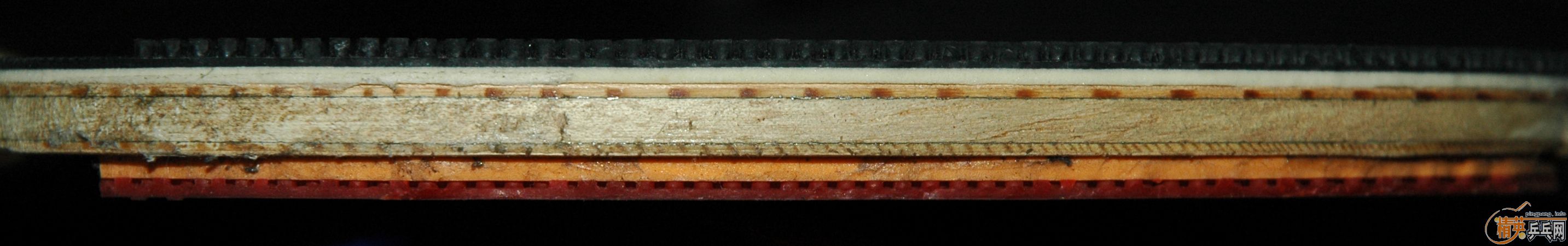 ����»����