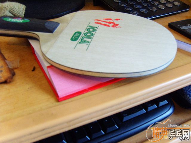 joola  cat   220   ֧����