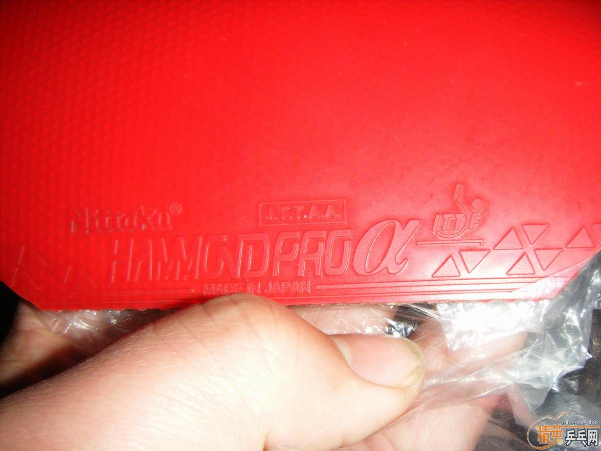 ���������������ܻ�ʲô��   ��Ҳ��