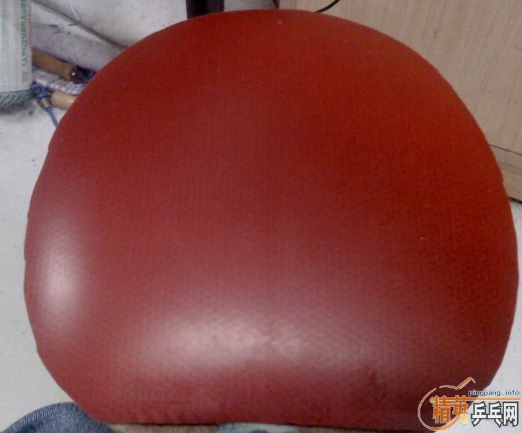 ��С������潺Ƥ���ս�ġ�Nodias