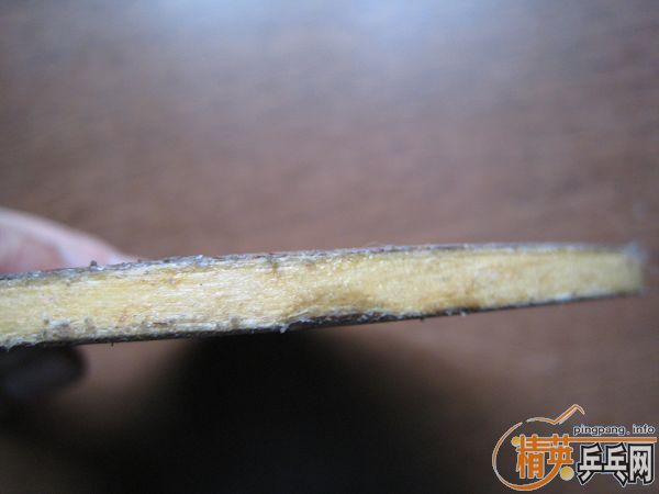 [ԭ��]07��������һ��𩡢YSC��YEO��������-X�׽���